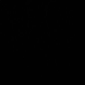 Meet your Posher, Ava